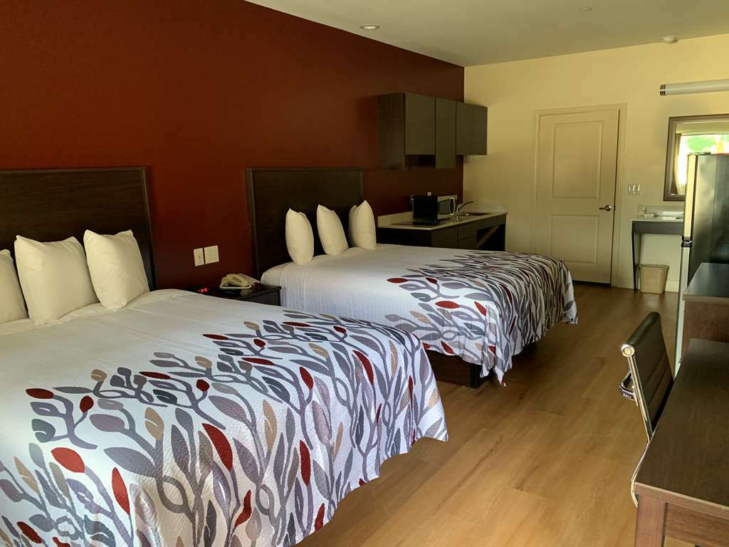 Red Roof Inn Houston - Willowbrook Louetta Room photo